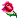 حمایت شده
